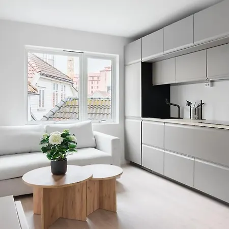 New In The Center Apartment Bergen